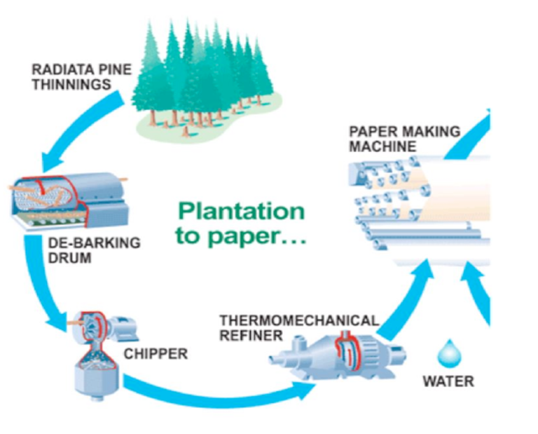 Paper Making Pte Speaking Describe Image Engleze Com